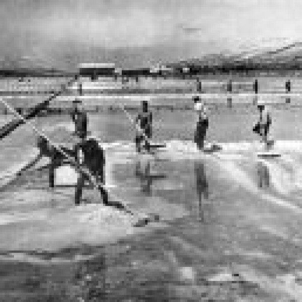 ISLAND OF PAG, Apartmani Bosi i Goli Starigrad Paklenica