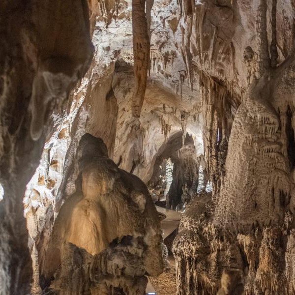 CAVES CEROVAC, Apartmani Bosi i Goli Starigrad Paklenica