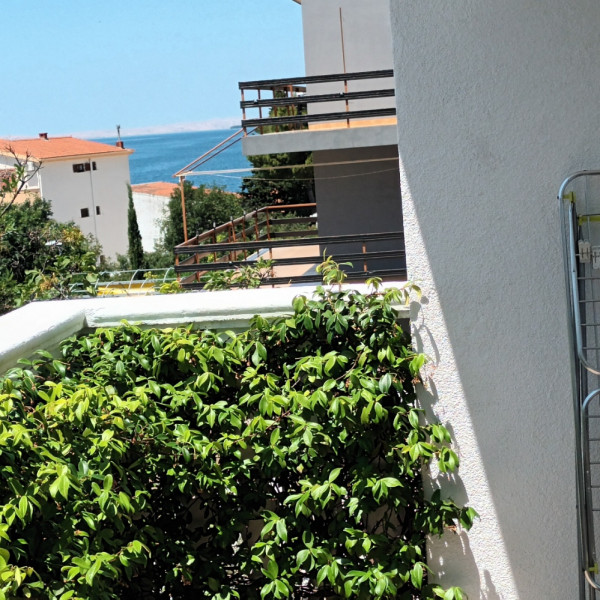 Dnevni boravak, Apartmani Bosi i Goli, Apartmani Bosi i Goli Starigrad Paklenica