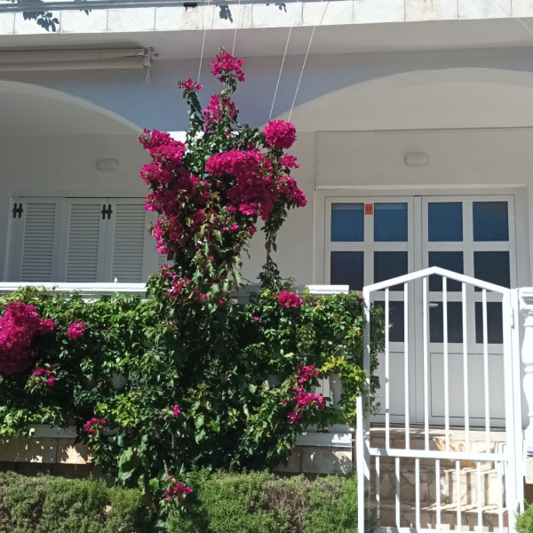 Living room, Apartmani Bosi i Goli, Apartmani Bosi i Goli 23244