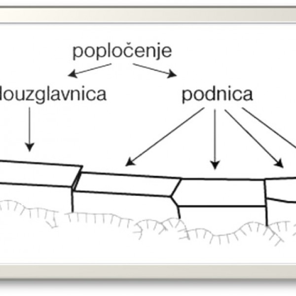 MIRILA - MEASURES, Apartmani Bosi i Goli Starigrad Paklenica