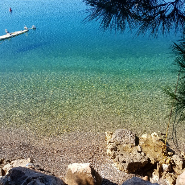 BEACHES, Apartmani Bosi i Goli Starigrad Paklenica