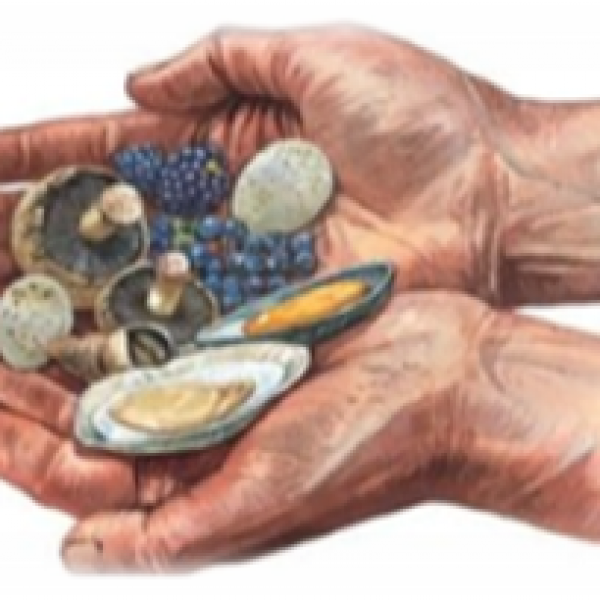 STONE ARROWS (ORIGINAL), Apartmani Bosi i Goli Starigrad Paklenica