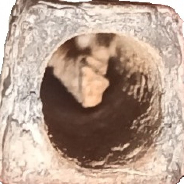 NEEDLE CONTAINER (ORIGINAL), Apartmani Bosi i Goli Starigrad Paklenica