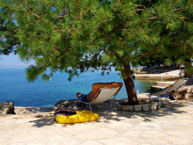 Destination, Apartmani Bosi i Goli 23244