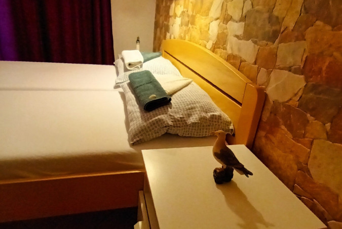 Apartment 2, Apartmani Bosi i Goli 23244