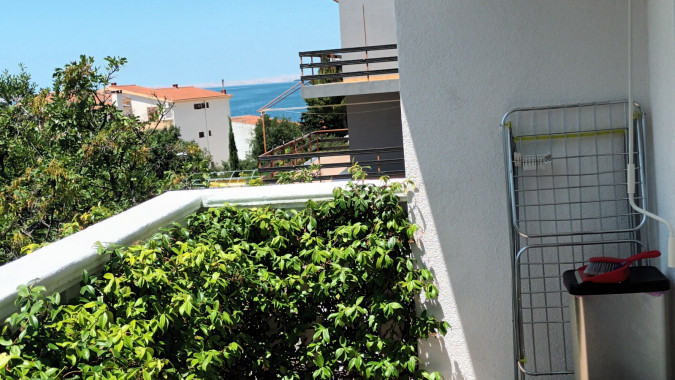 Destination, Apartmani Bosi i Goli 23244