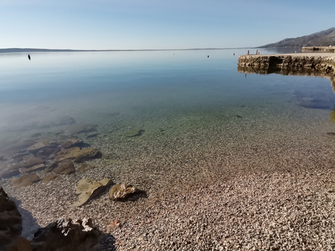 Destination, Apartmani Bosi i Goli 23244