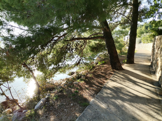 Destination, Apartmani Bosi i Goli 23244