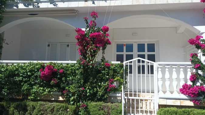 Destination, Apartmani Bosi i Goli 23244