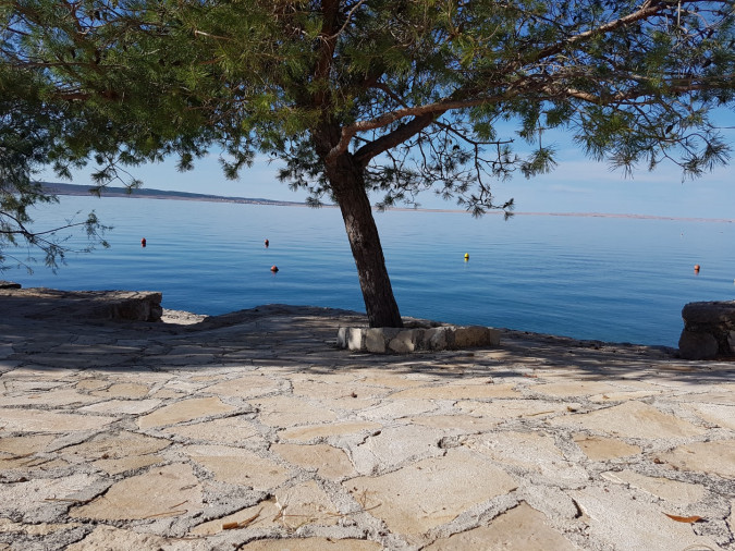 Destination, Apartmani Bosi i Goli 23244