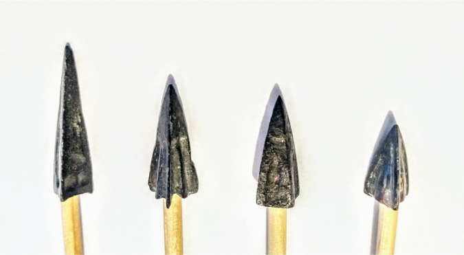 BRONZE ARROWS (ORIGINAL), Apartmani Bosi i Goli Starigrad Paklenica