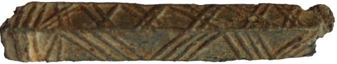 NEEDLE CONTAINER (ORIGINAL), Apartmani Bosi i Goli Starigrad Paklenica