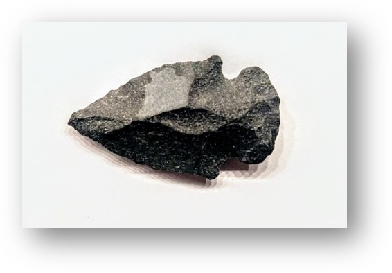 STONE ARROWS (ORIGINAL), Apartmani Bosi i Goli Starigrad Paklenica