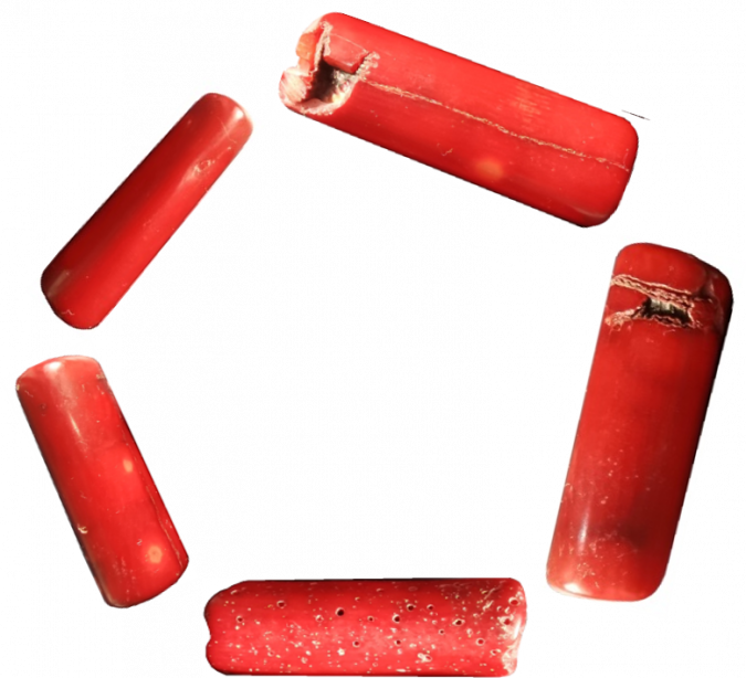 CORAL NECKLACE (ORIGINAL), Apartmani Bosi i Goli Starigrad Paklenica