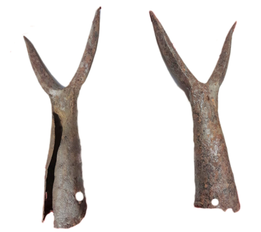 BIDENT (ORIGINAL), Apartmani Bosi i Goli Starigrad Paklenica